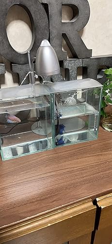 Amazon | 水作 水槽 ショーベタ コレクションケース M サイズ | 水作